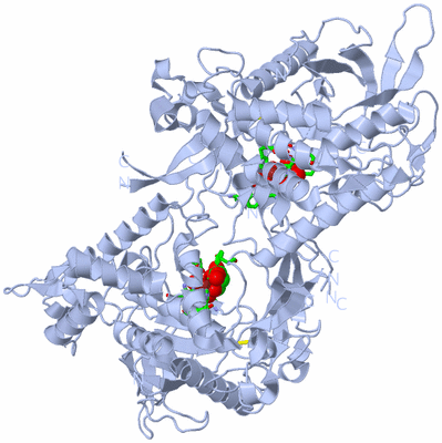 Image Biol. Unit 1 - sites