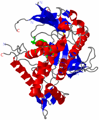 Image Asym. Unit - sites