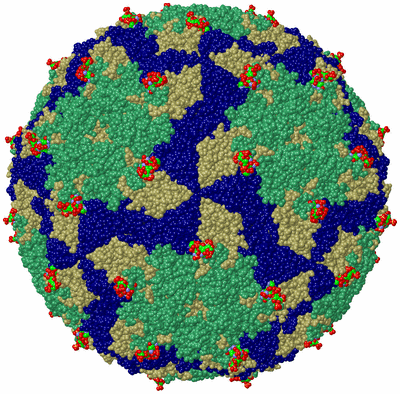 Image Biol. Unit 1 - sites