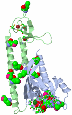 Image Biol. Unit 1 - sites