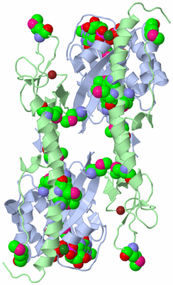 Image Biological Unit 2