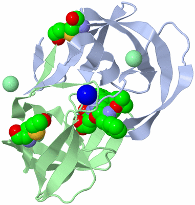 Image Asym./Biol. Unit