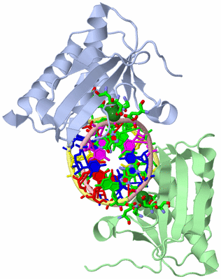 Image Asym./Biol. Unit - sites