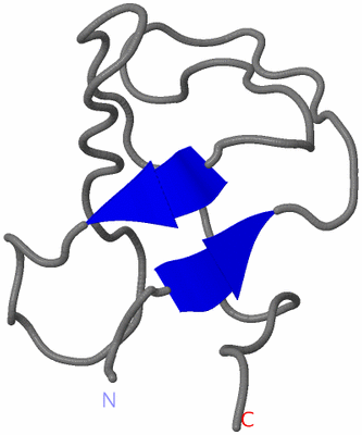 Image NMR Structure - model 1