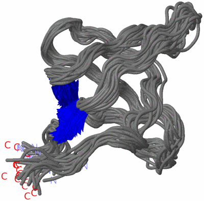 Image NMR Structure - all models