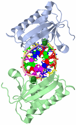 Image Biological Unit 1