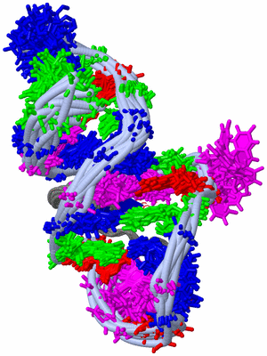 Image NMR Structure - all models