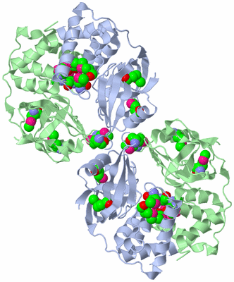 Image Biological Unit 2