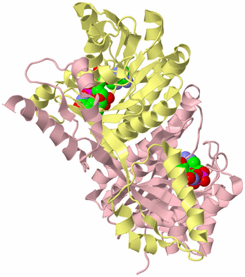 Image Biological Unit 2