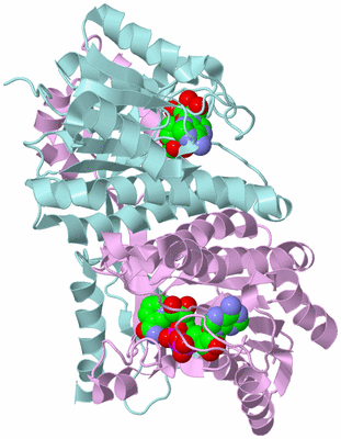 Image Biological Unit 3