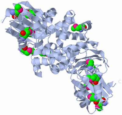 Image Biological Unit 1