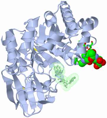 Image Asym./Biol. Unit - sites