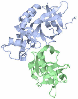 Image Asym./Biol. Unit