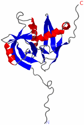 Image NMR Structure - model 1