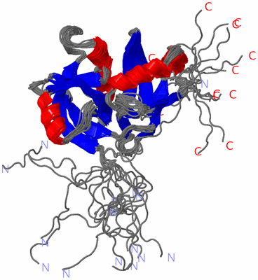Image NMR Structure - all models