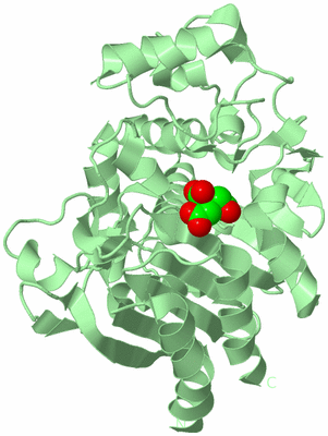 Image Biological Unit 2