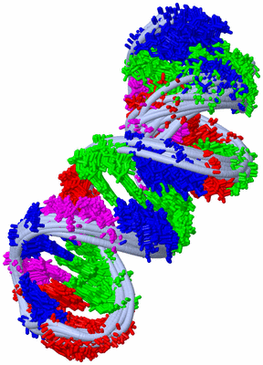 Image NMR Structure - all models