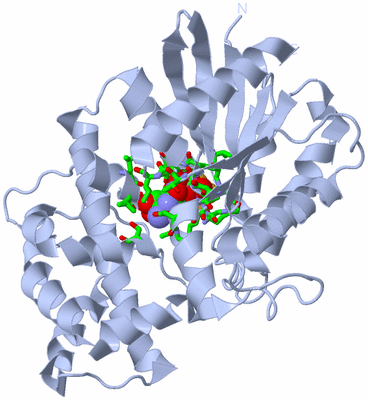 Image Biol. Unit 1 - sites