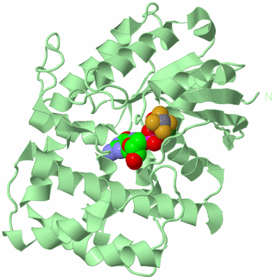 Image Biological Unit 2