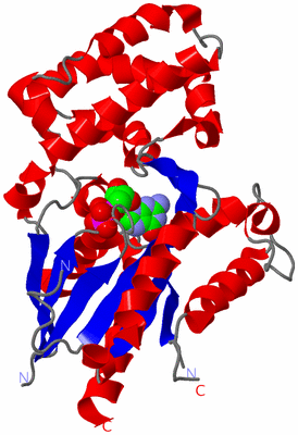 Image Asym./Biol. Unit