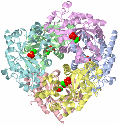 Image Asym./Biol. Unit