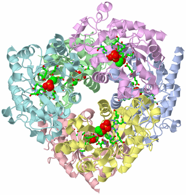 Image Asym./Biol. Unit - sites