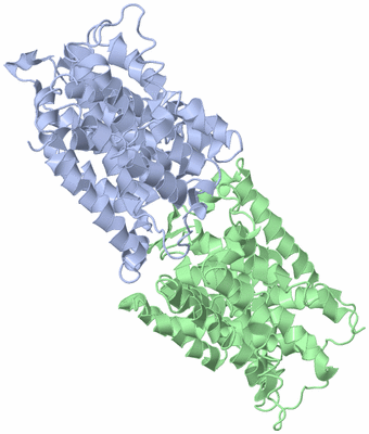 Image Asymmetric Unit
