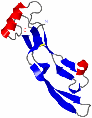 Image Theoretical Model