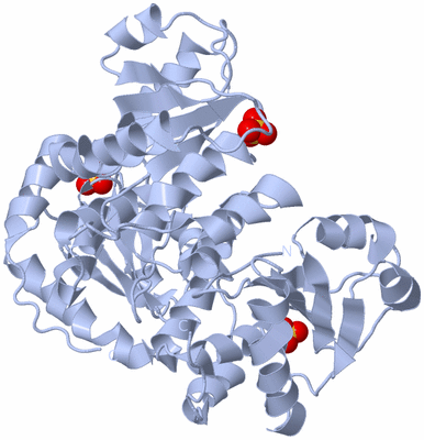 Image Biological Unit 1