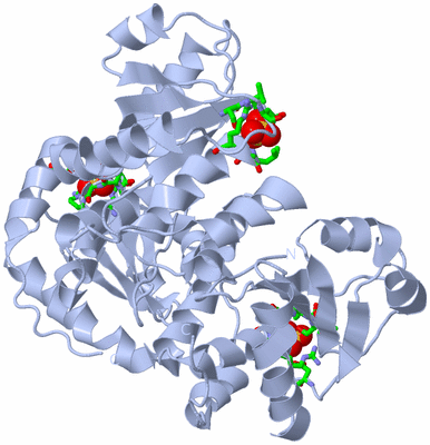 Image Biol. Unit 1 - sites