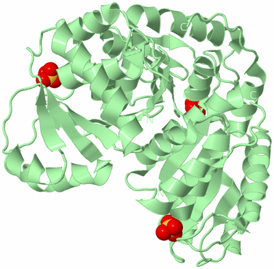 Image Biological Unit 2