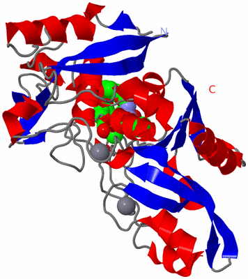 Image Asym./Biol. Unit