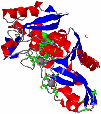 Image Asym./Biol. Unit - sites