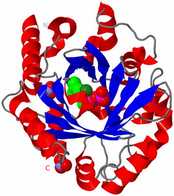 Image Asym./Biol. Unit