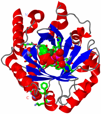 Image Asym./Biol. Unit - sites