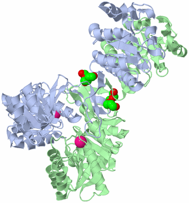 Image Asym./Biol. Unit