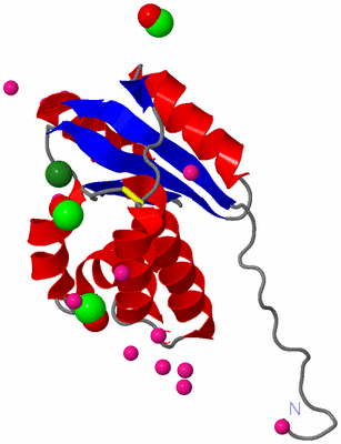 Image Asym./Biol. Unit