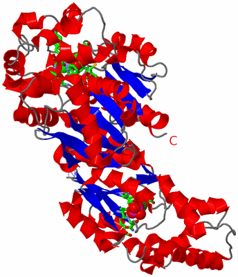 Image Asym. Unit - sites