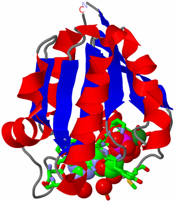 Image Asym./Biol. Unit - sites