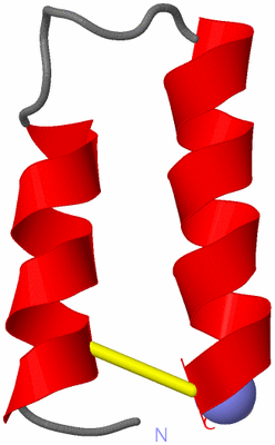 Image NMR Structure - model 1