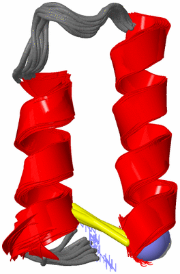 Image NMR Structure - all models