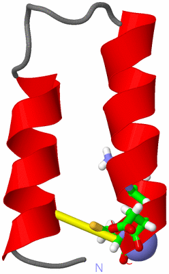 Image NMR Structure - model 1, sites