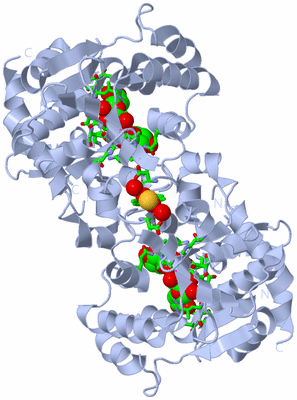 Image Biol. Unit 1 - sites