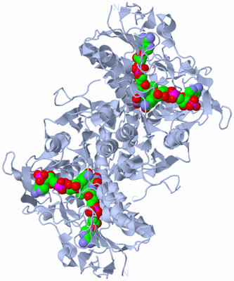 Image Biological Unit 1