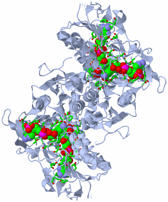 Image Biol. Unit 1 - sites