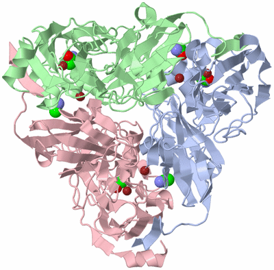 Image Asym./Biol. Unit