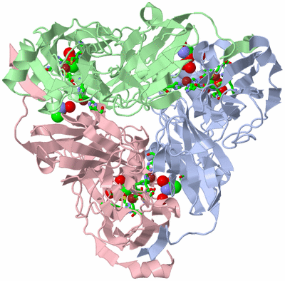 Image Asym./Biol. Unit - sites