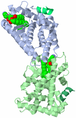 Image Biological Unit 3