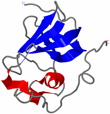 Image NMR Structure - model 1