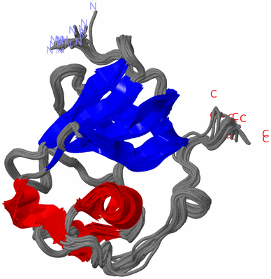 Image NMR Structure - all models